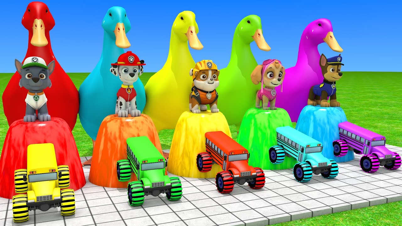 duck cartoon Youtube Kids