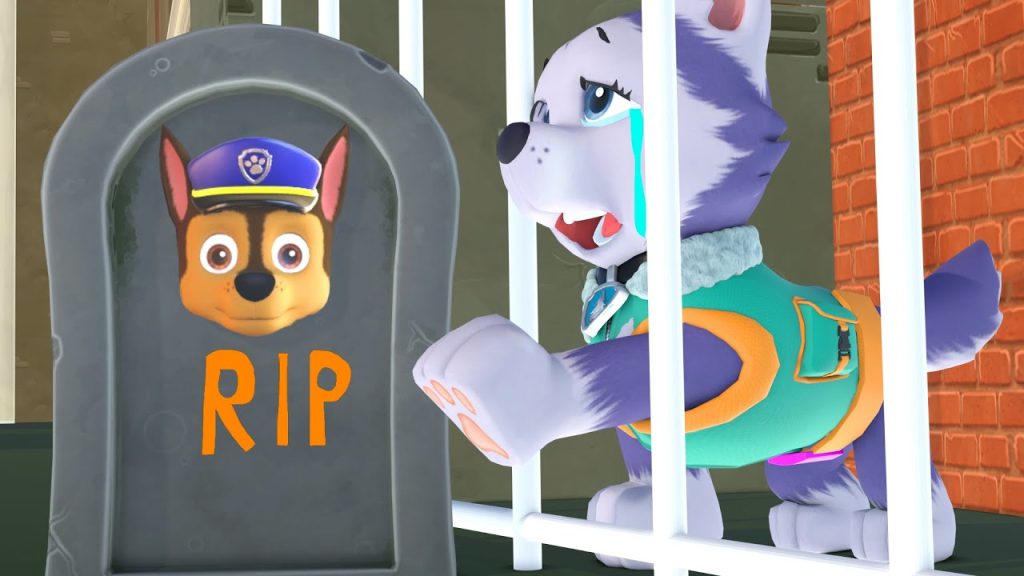 paw patrol latest videos - Youtube Kids