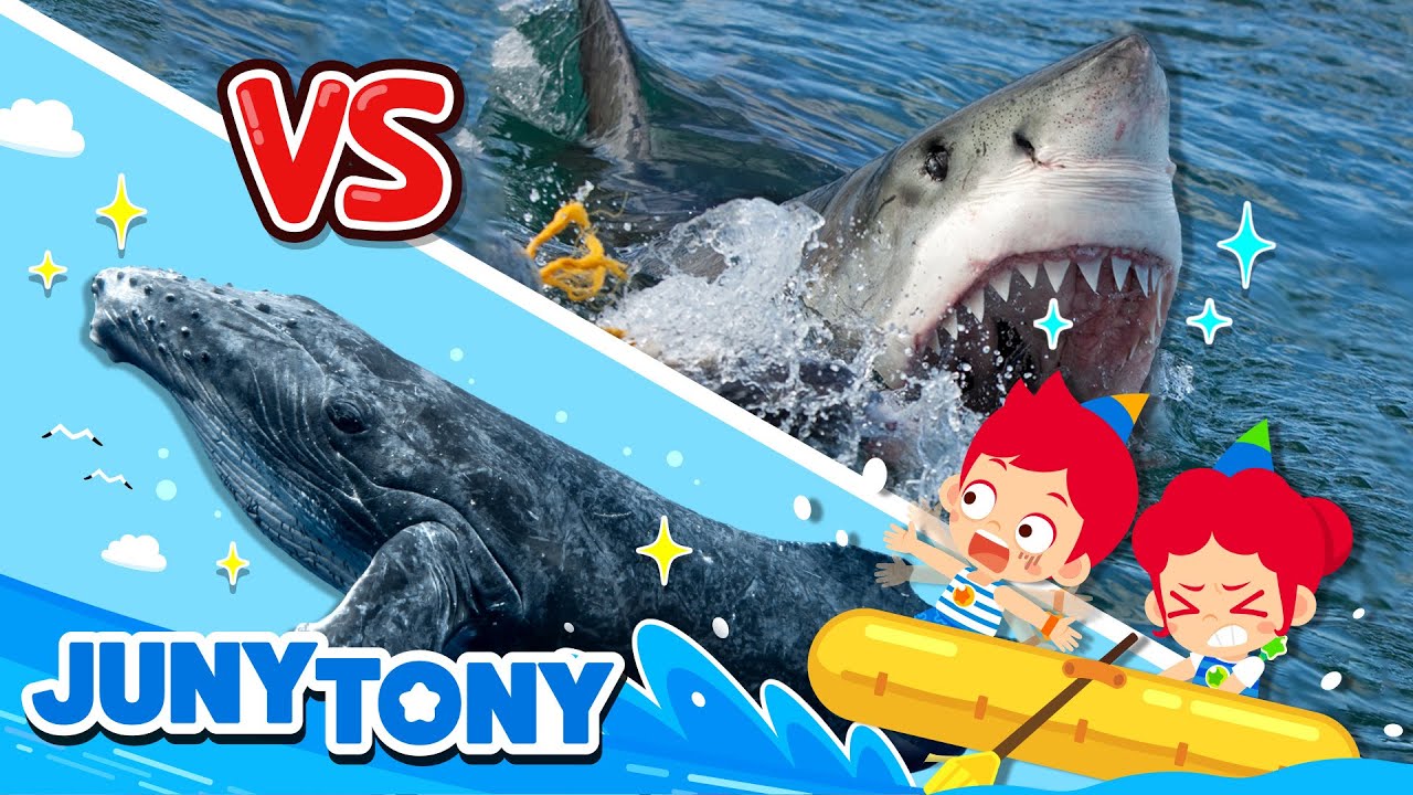 juny and tony - Youtube Kids