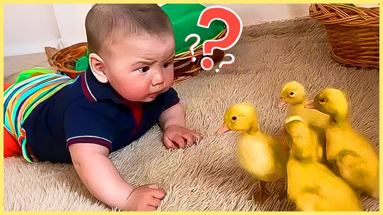 Funniest Baby Kids