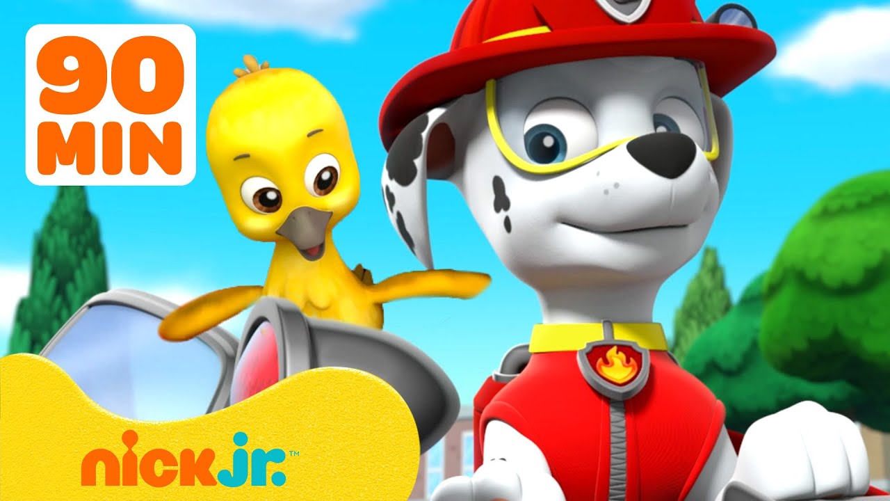 Cómo se llama el niño de Paw Patrol? Los cachorros no son los únicos